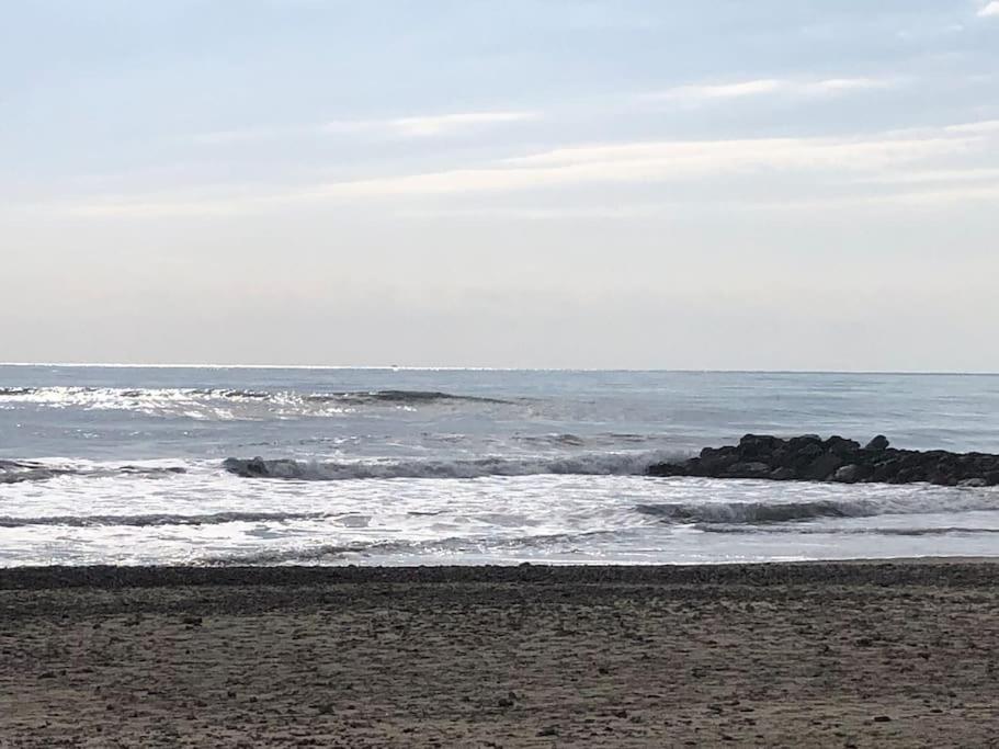 Situation Ideale F2, 2 Eme Ligne,Climatise, Plage Палава-ле-Фло Экстерьер фото